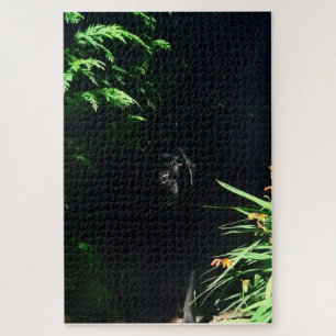 Puzzle Cachage noir Labrador