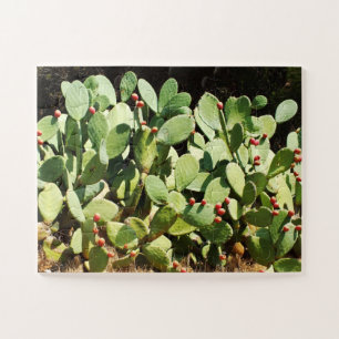 Puzzle Cactus à poires
