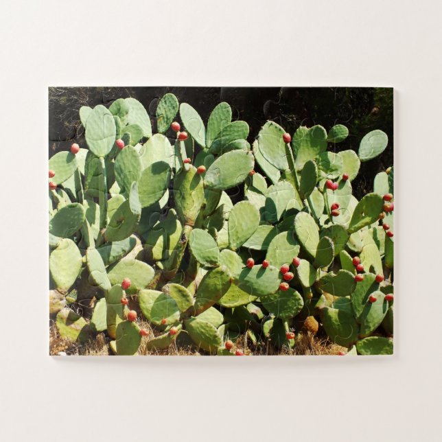 Puzzle Cactus à poires (Horizontal)