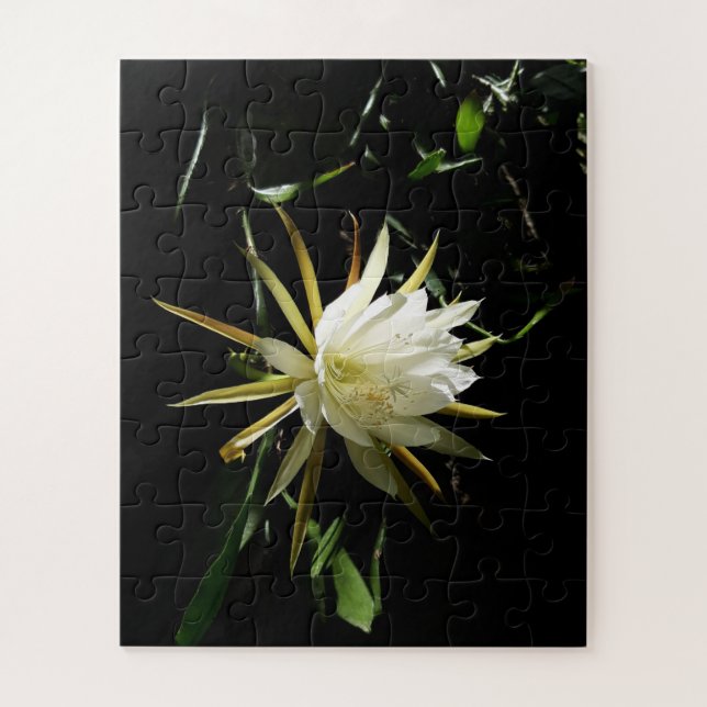 Puzzle Cactus Bloom (Vertical)