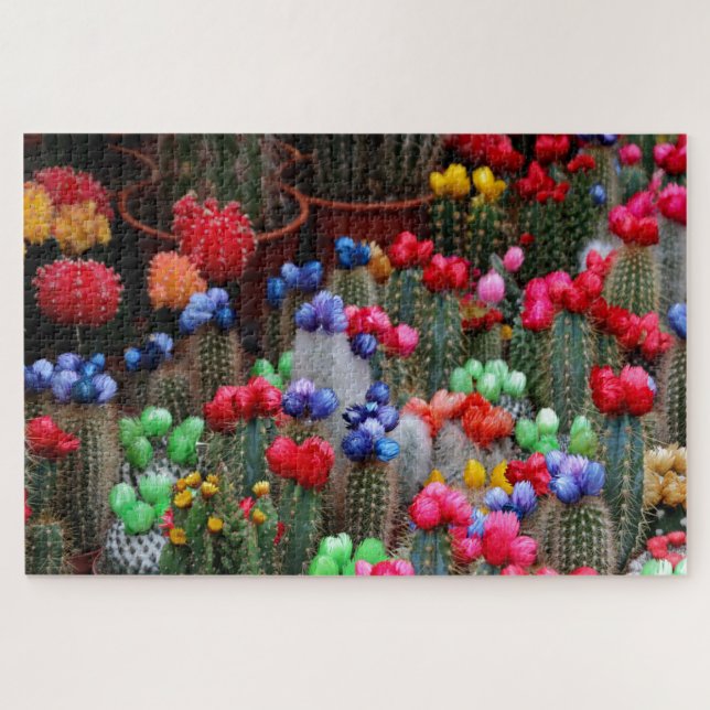 Puzzle Cactus colorés (Horizontal)