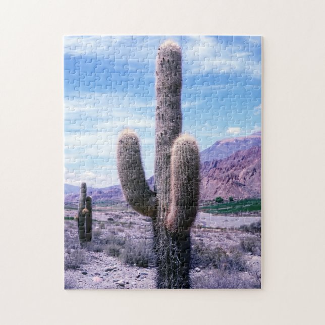 Puzzle Cactus dans la province de Jujuy - Nord de l'Argen (Vertical)