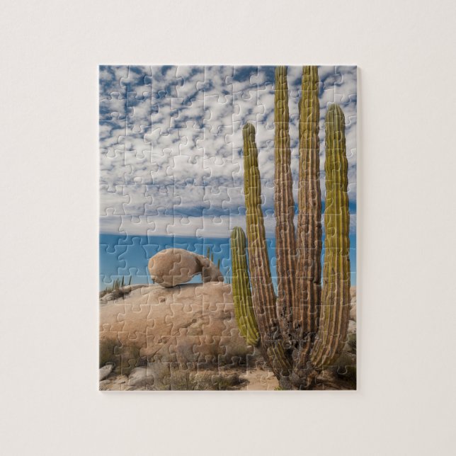 Puzzle Cactus dans le désert Pittoresque (Vertical)
