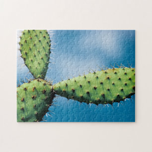 Puzzle Cactus de Prickley