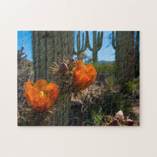 Puzzle - cactus - fleurs - Arizona