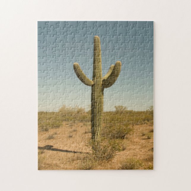 Puzzle Cactus solitaire (Vertical)