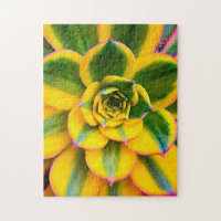 Cactus vert jaune rose Photo Beau gros plan