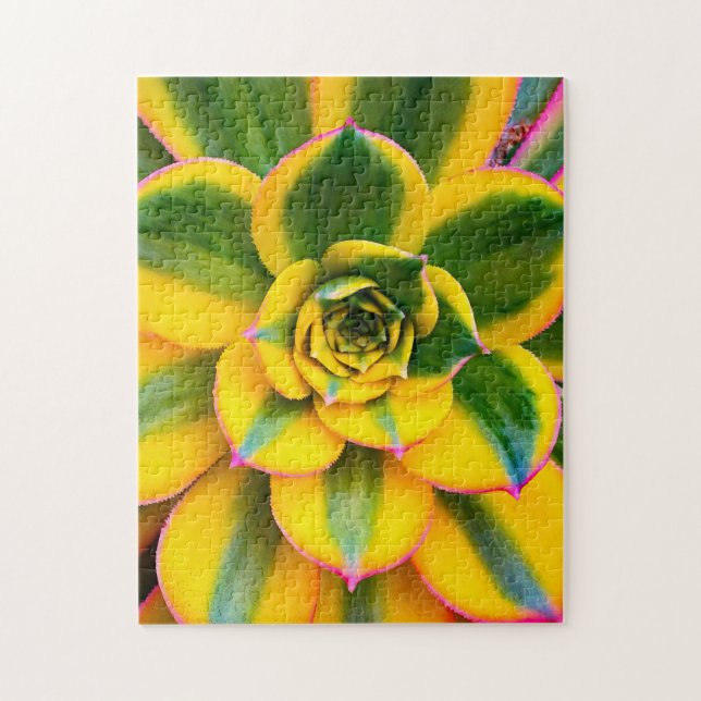 Puzzle Cactus vert jaune rose Photo Beau gros plan (Vertical)