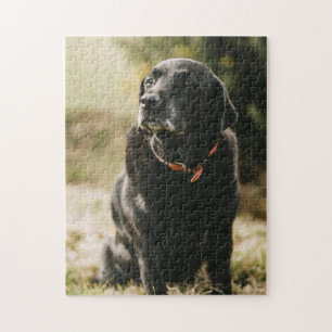 Puzzle Cadeau de conception de chien populaire
