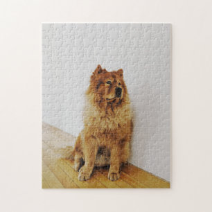 Puzzle Cadeau de conception de chien populaire