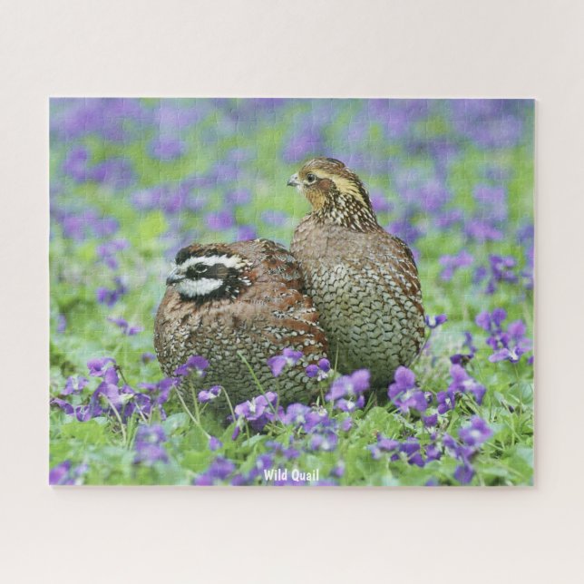 Puzzle Caille Sauvage (Horizontal)
