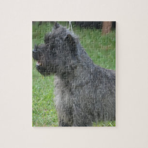 Puzzle Cairn Terrier mignon