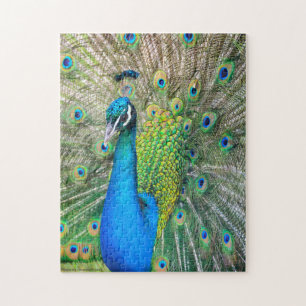 Puzzle Calcaire bleu et vert