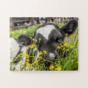 Puzzle Calf dans l'herbe et les fleurs