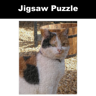 Puzzle Calico chat assis dans le jardin