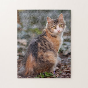 Puzzle Calico Kitty Cat