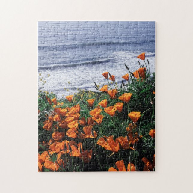 Puzzle Californie, Big Sur Coast, Californie Pavot (Vertical)
