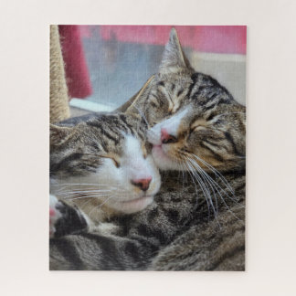 Puzzle Câlins de chat !