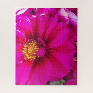 Puzzle Calme matinal : Marguerite rose pâle avec centre d