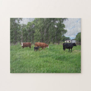 Puzzle Calves et vaches du pâturage