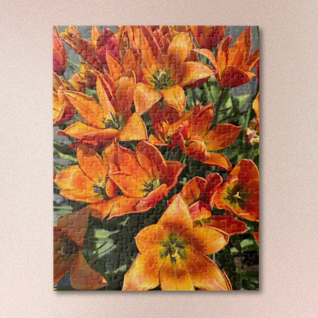 Puzzle Calypso Tulipe Orange Clair (Créateur téléchargé)