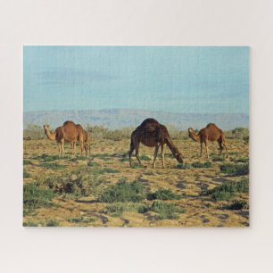 Puzzle Camels, Tunisie 520-pc