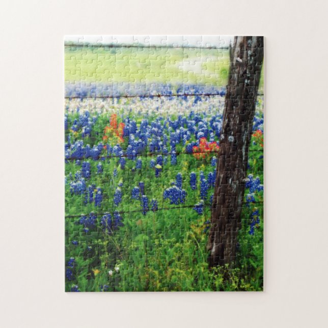 Puzzle Campagne du Texas (Vertical)