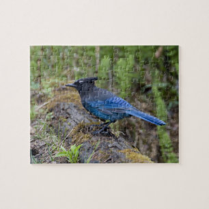 Puzzle Canada : Colombie-Britannique, parc national Yoho