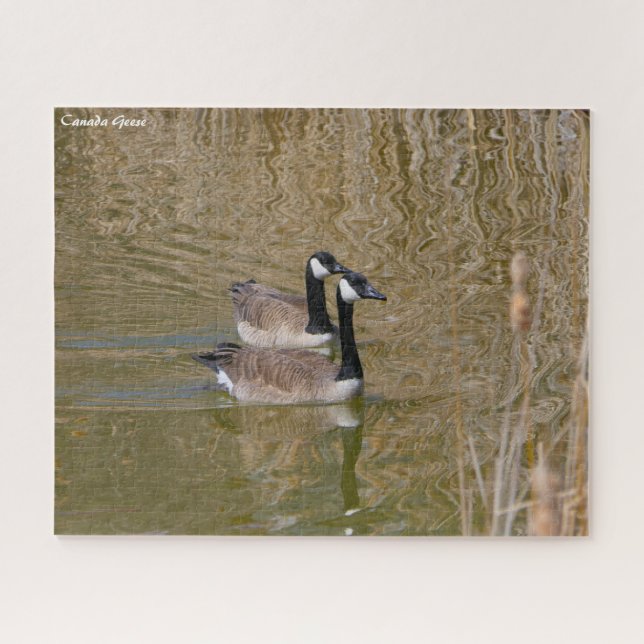Puzzle Canada Goose (Horizontal)