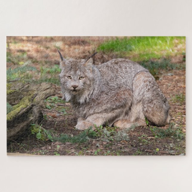Puzzle Canada Lynx Challenging Nature Lover (Horizontal)