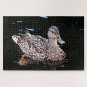Puzzle Canard