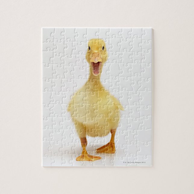 Puzzle Canard (Vertical)