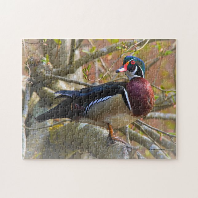 Puzzle Canard à bois mâle sur l'arbre (Horizontal)