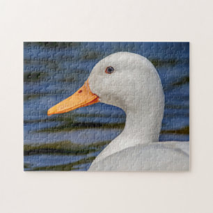 Puzzle Canard blanc