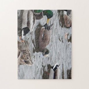 Puzzle Canard, Canard d'Amérique, Oiseau, Kennewick, WA
