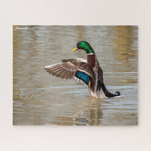 Puzzle Canard colvert