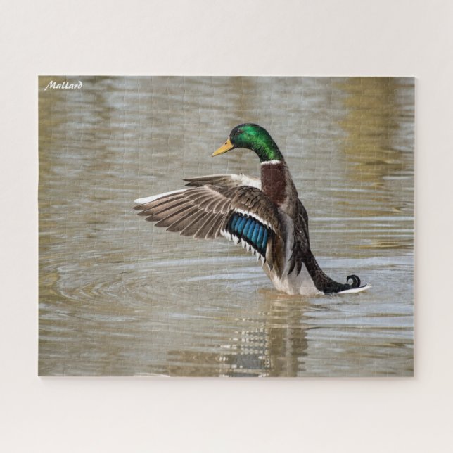 Puzzle Canard colvert (Horizontal)