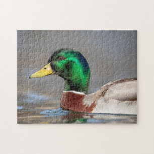 Puzzle Canard colvert dans la vallée de l'Hudson