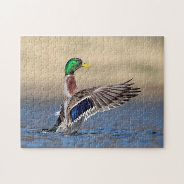 Puzzle Canard colvert dans la vallée de l'Hudson (Horizontal)