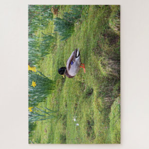 Puzzle Canard colvert sur la rive d'une rivière