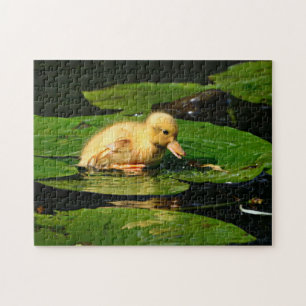 Puzzle Canard de bébé jaune flottant sur des coussinets d