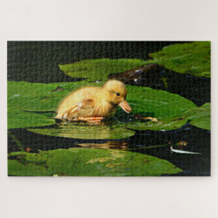 Puzzle Canard de bébé jaune flottant sur des coussinets d