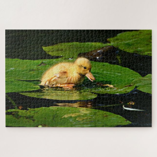 Puzzle Canard de bébé jaune flottant sur des coussinets d (Horizontal)