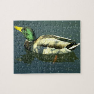 Puzzle Canard de Mallard
