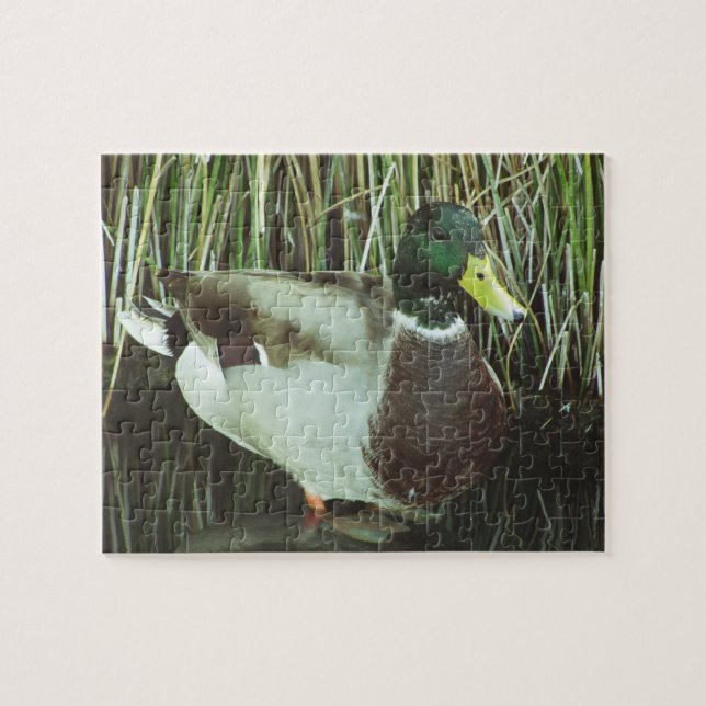 Puzzle Canard de Mallard Photo Lac Faune Oiseau d'eau (Horizontal)