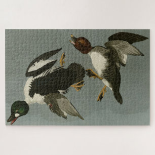 Puzzle Canard doré - photo d'Audubon's Birds of America