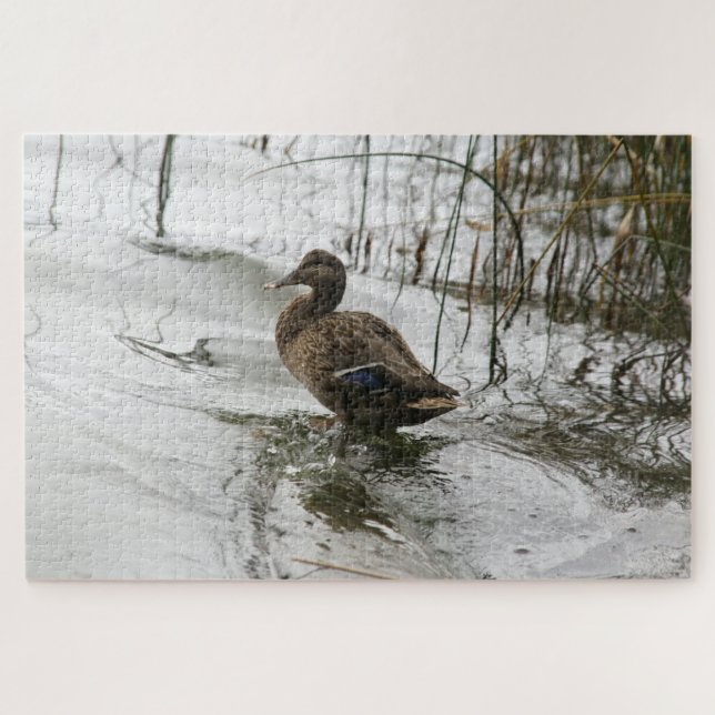 Puzzle Canard gris sur la nuit du lac (Horizontal)