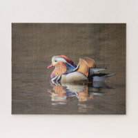 Canard mandarin