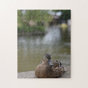 Puzzle Canard par l'eau Oiseau Photographie de la nature