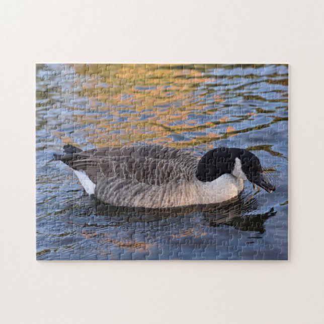 Puzzle Canard sur le Water Regent's Park London UK (Horizontal)